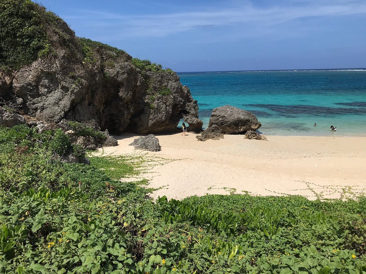🏖️ 숨겨진 해변(이키즈 비치) 이미지 3